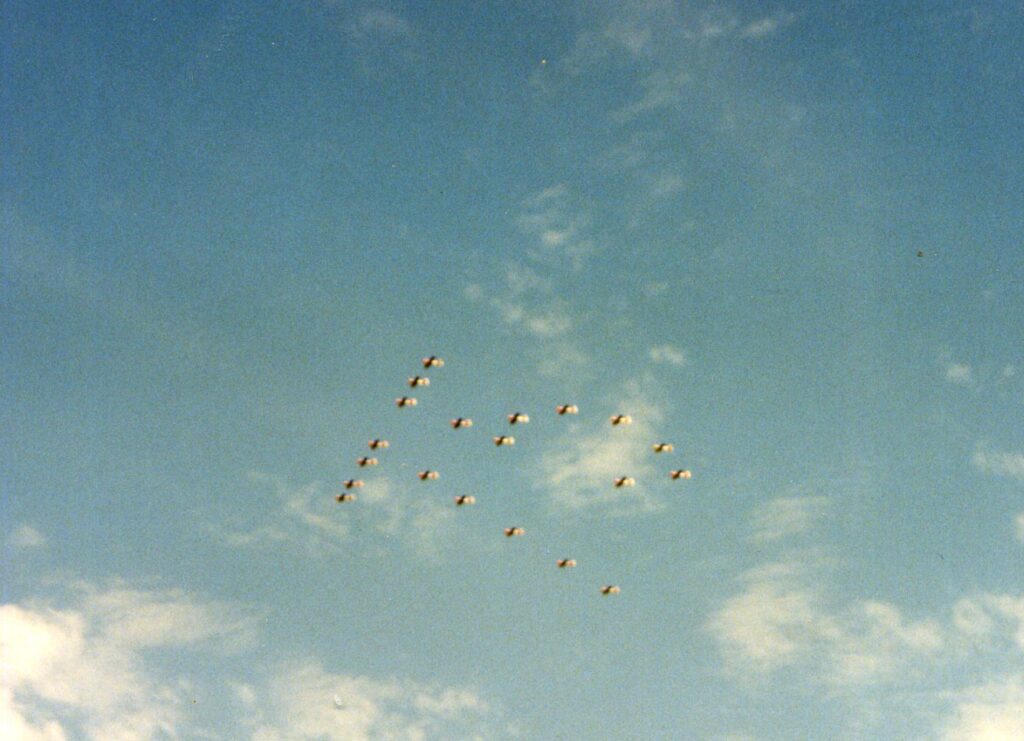 SAAF Harvard Ysterplaat 75th anniversary SAAF